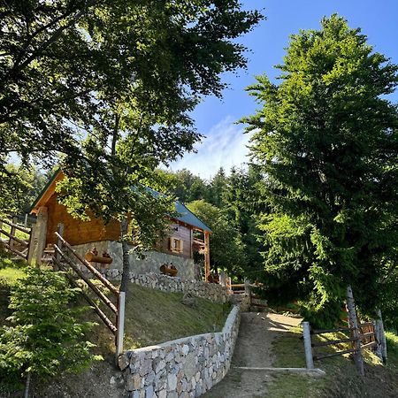 Cottage Under The Tresnjevik Andrijevica Exterior foto